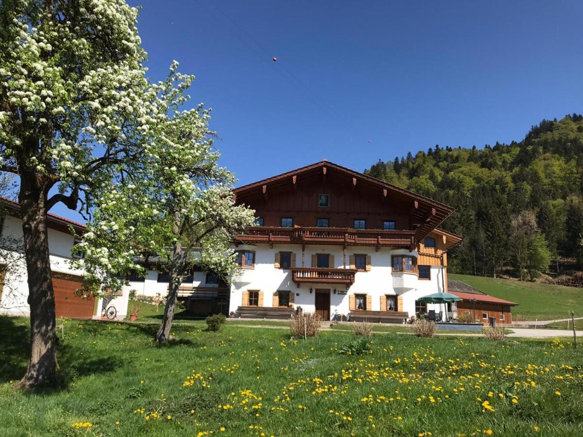Biobauernhof Und Ferienhaus Riederbauer Rettenschoss Экстерьер фото