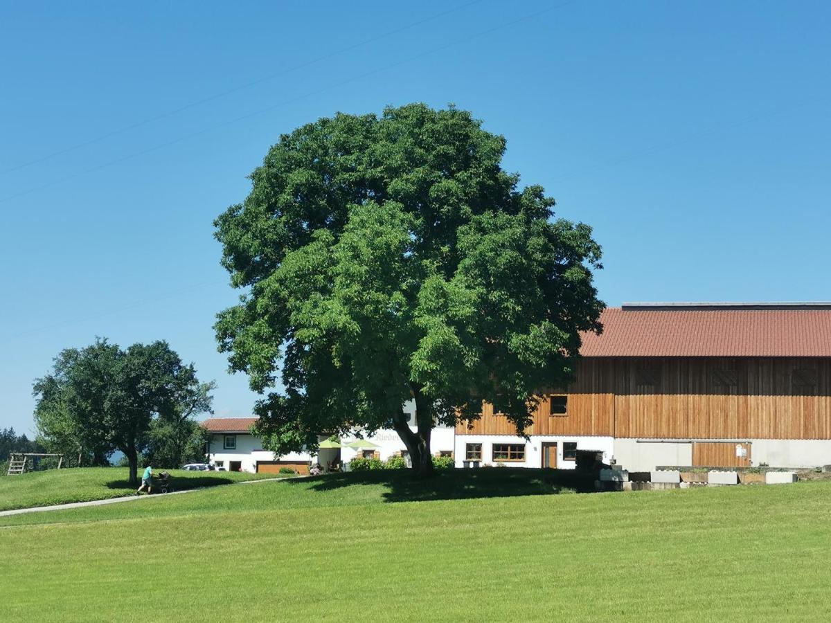 Biobauernhof Und Ferienhaus Riederbauer Rettenschoss Экстерьер фото